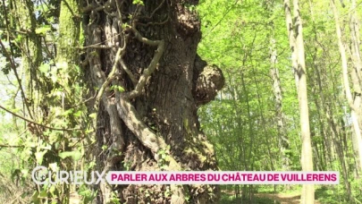 Parler aux arbres du Château de Vuillerens