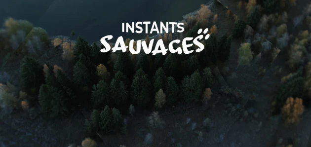 Instants sauvages