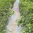 Pollution aux hydrocarbures du ruisseau de l'Epena à Domdidier