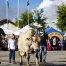 27e fête du Vacherin Mont-d'Or à Charbonnières, Vallée de Joux