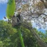 Parapentiste secouru par trois jeunes dans le canton de Neuchâtel