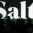 Salt: hausse du chiffre d'affaires et de la rentabilité au 3e trimestre