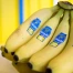 Panama: Chiquita annonce des licenciements liés à la grève
