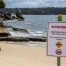 Baie de Sydney: un garçon de 12 ans meurt après une attaque de requin