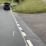 Collision mortelle entre un vélo électrique et un chat en Appenzell