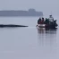 Baleine échouée en mer Baltique : Berlin cesse les sauvetages