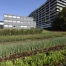 Genève : festival 48 heures de l'agriculture urbaine (24-26 avril)