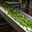 InnoFood&Co : 5e édition d'innovation agroalimentaire à Fribourg