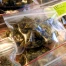Corsier-sur-Vevey : un jeune interpellé avec plus de 5 kg de cannabis