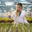 Syngenta : croissance au 1er trimestre portée par l'innovation