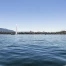 Net'Léman : 2,6 tonnes de déchets ramassés en un week-end