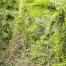 Fribourg rappelle : déchets de jardin à déposer à la déchetterie