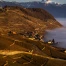 Vignoble de Lavaux : biodiversité riche mais fragile, selon une étude