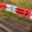 Risque élevé de propagation de la peste porcine africaine en Suisse