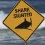 Attaque de requin à Rottnest : homme de 30 ans en état critique