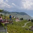 Caves ouvertes vaudoises : 23-24 mai, 260 caves à découvrir