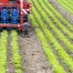 Aide fédérale à l'agriculture suisse après concessions commerciales