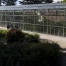 Mimêsis au Naturéum de Lausanne : biomimétisme et innovation