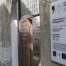 Fribourg : réorganisation en profondeur du pouvoir judiciaire