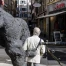Neuchâtel : sculptures et expo de grands singes entre art et science