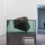 Pierre Huyghe à la Fondation Beyeler : exposition éphémère