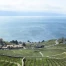 100'000 visites aux caves ouvertes vaudoises 2026