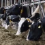 Mercosur : gauche et agriculteurs monteront au Conseil national