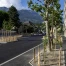 Sierre inaugure l'avenue Max Huber : réaménagement végétalisé