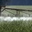 Homologation accélérée des pesticides en Suisse validée par le Parlement