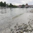 Sécheresse en Suisse : lacs et fleuves restent bas malgré la pluie