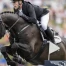 Déception suisse au grand prix de St-Gall : victoire d'Ehning