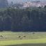 Pétition au Grand Conseil contre la mégagravière des bois de Ballens