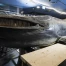 Fribourg : exposition Bis bald Baleine au MHNF, miniatures et adieux