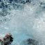 Nouveaux recours contre l'interdiction des maillots de bain longs