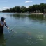 Bassin du Lincoln Memorial : rénovation en échec, algues et Trump