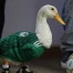 Merlin, le canard mascotte du Mexique, honoré par la présidente