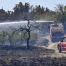 France: près de 100 hectares brûlés dans le Maine-et-Loire