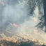 Incendie de forêt aux Roches-de-Moron (NE) maîtrisé en soirée