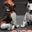 Sony met fin à la vente du chien robot aibo au Japon