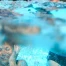 Nuit tropicale en Suisse : températures élevées à Bâle, canicule