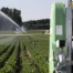 Agriculteurs face à la canicule : goutte à goutte, serres et pompage