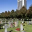 Berne autorise l'inhumation commune d'humains et d'animaux