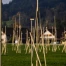 Fribourg : accélération de l'octroi des permis de construire