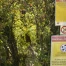 Genève : risque d'incendie en forêt porté à 4/5, feux restreints