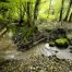 Vaud : 23 mesures pour renforcer la protection des eaux (2026–2035)