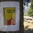 Genève interdit totalement les feux en forêt pour cause de sécheresse