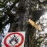 Fribourg interdit le feu en forêt : danger d'incendie élevé