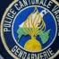 Vaud lance une analyse de sa police coordonnée en vue d'une réforme