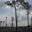 Brésil : la déforestation en Amazonie au plus bas depuis 2016