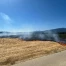 Champ de chaume en feu à Deitingen (SO) : moins de 200 ares brûlés